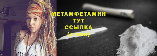 прущие грибы Дмитров
