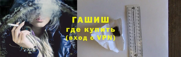 прущие грибы Дмитров