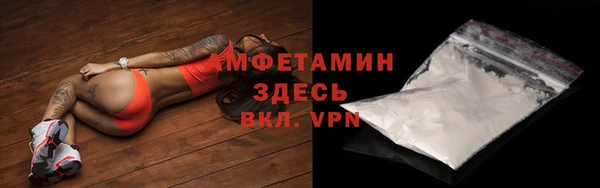прущие грибы Дмитров