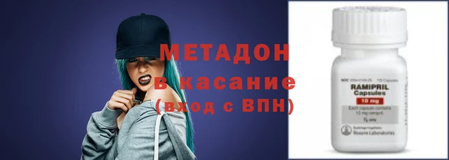 прущие грибы Дмитров