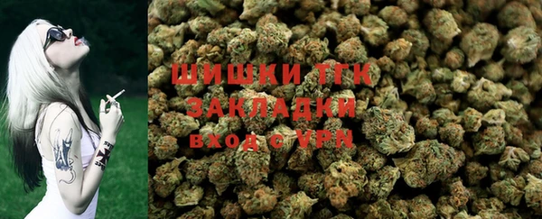 прущие грибы Дмитров