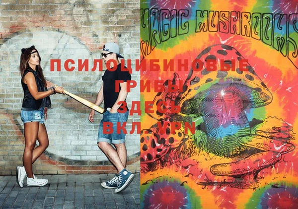 прущие грибы Дмитров