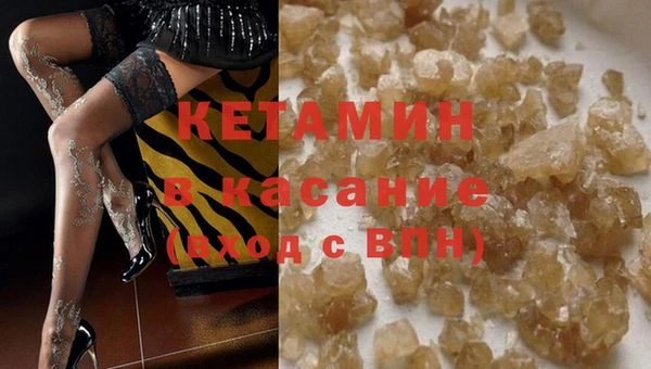 прущие грибы Дмитров