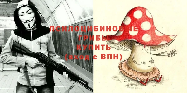 соль курить ск Дмитриев