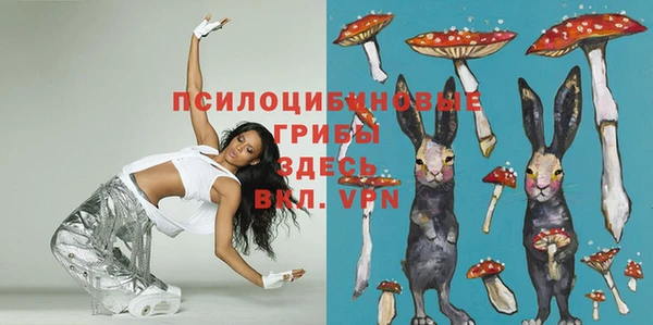 соль курить ск Дмитриев